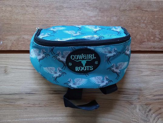 Turquoise Pegasus Horse Saddle Clutch Saddle Bag