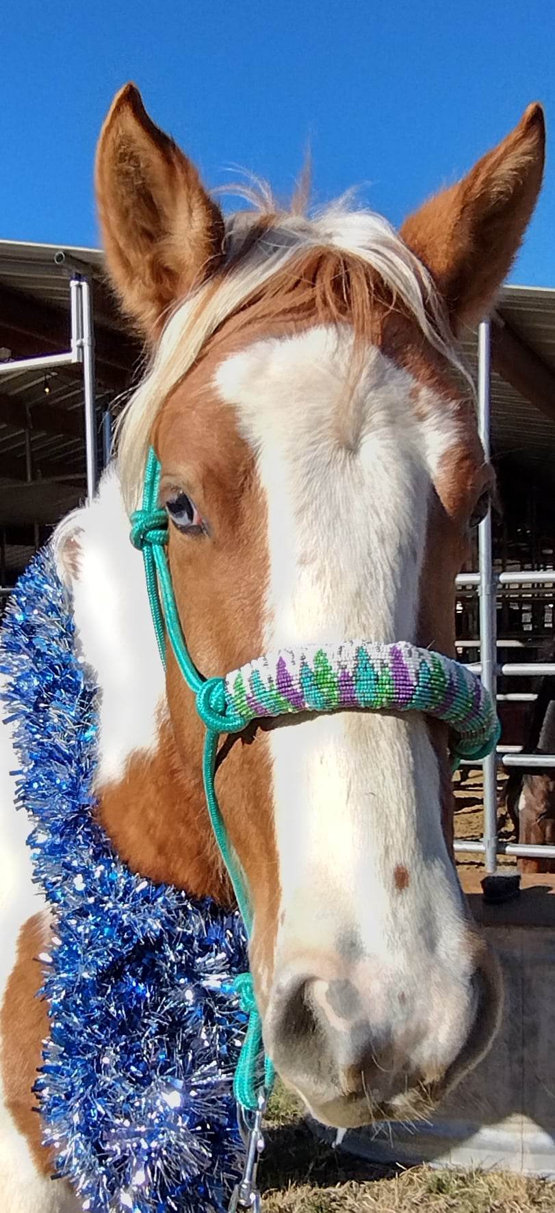 Cowgirl Roots™ SNOW CHRISTMAS TREE HAND BEADED ROPE HALTER WITH LEAD ROPE