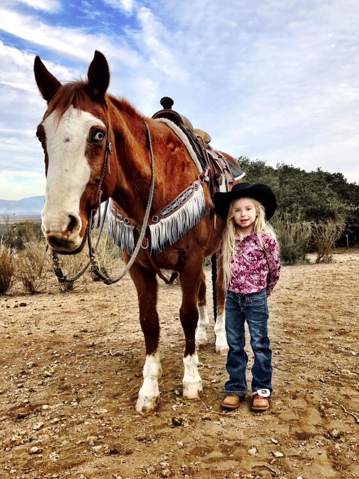 Horse Tack Accessories and Saddles