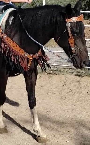 Headstall and Breast Collar Sets Wither Strap