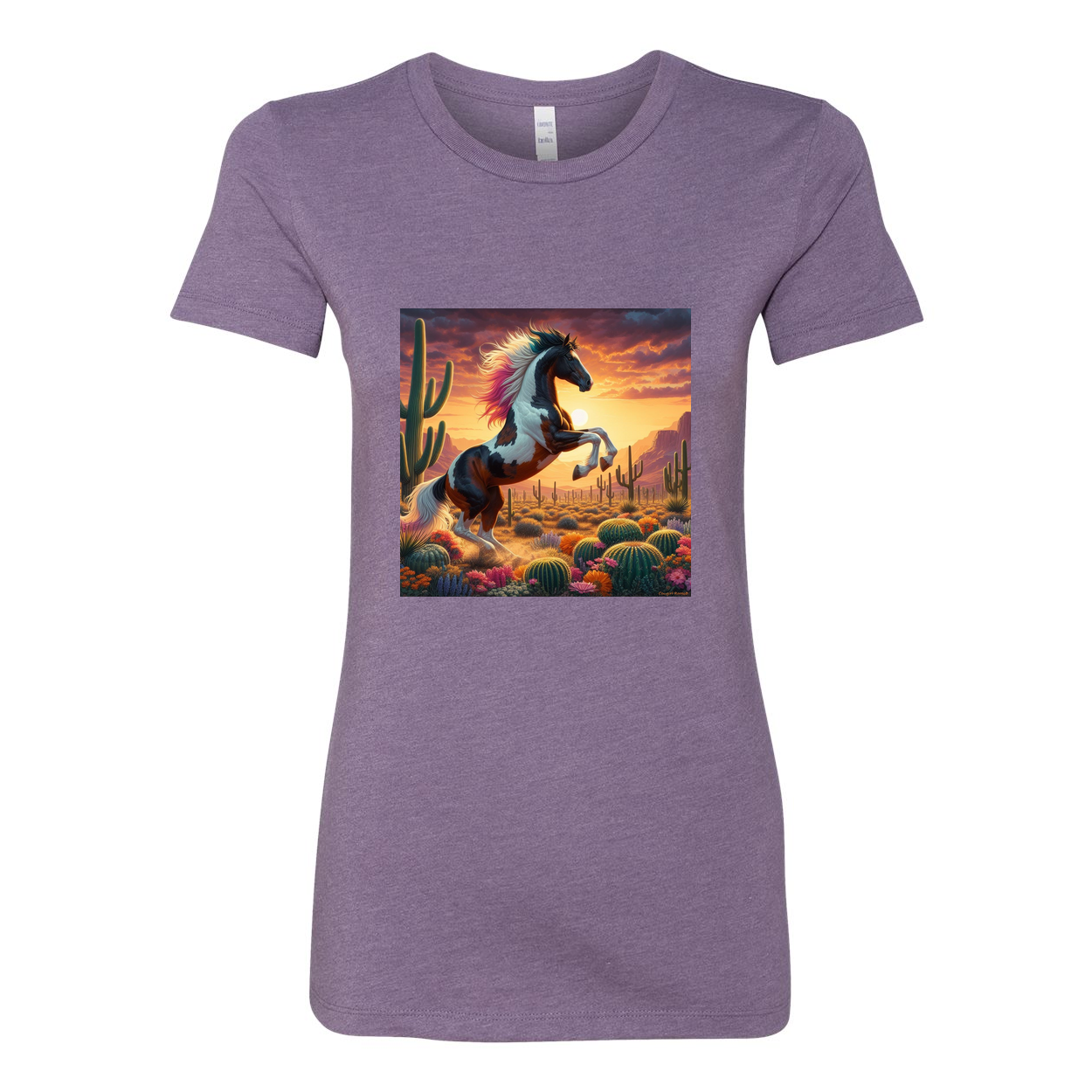 Painted Desert Horse Favorite T Shirts