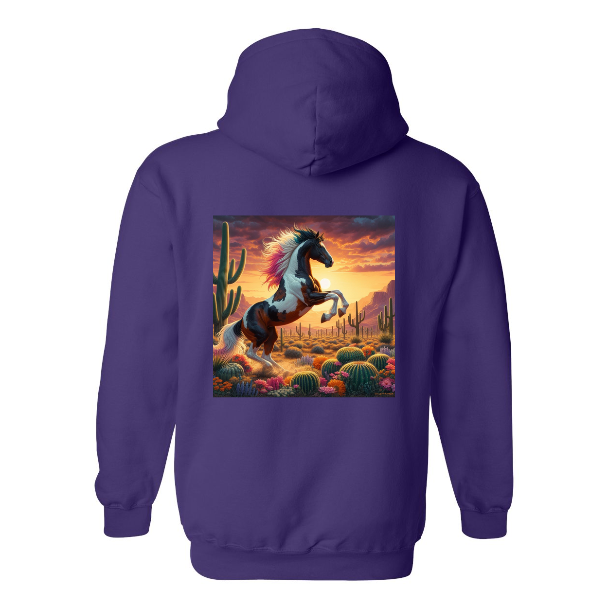 Painted Desert Horse Design on Back Front Pocket Hoodies