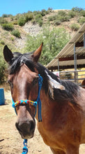 Load image into Gallery viewer, Feather Arrows Beaded Rope Horse and Pony Halters with Lead

