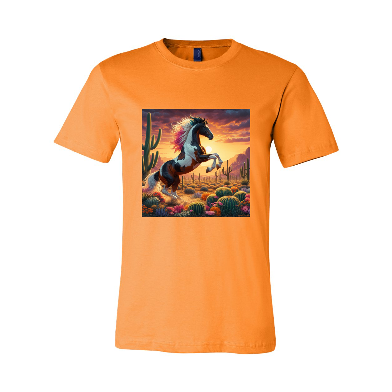 Painted Desert Horse T Shirts