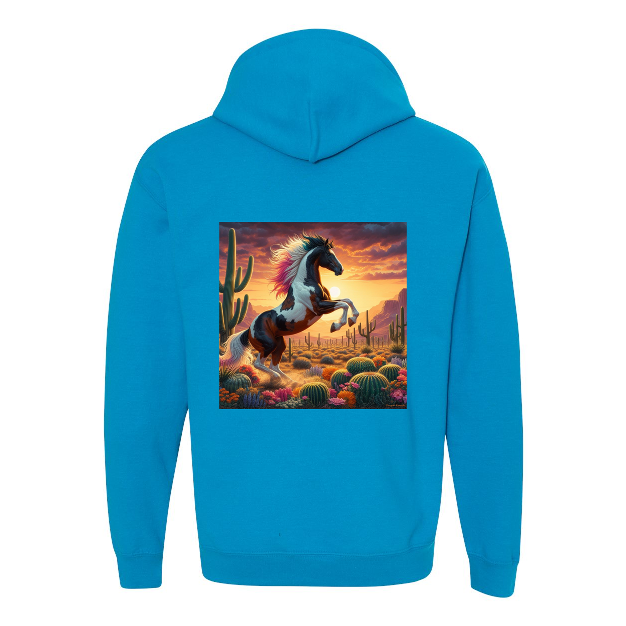 Painted Desert Horse Design on Back Front Pocket Hoodies