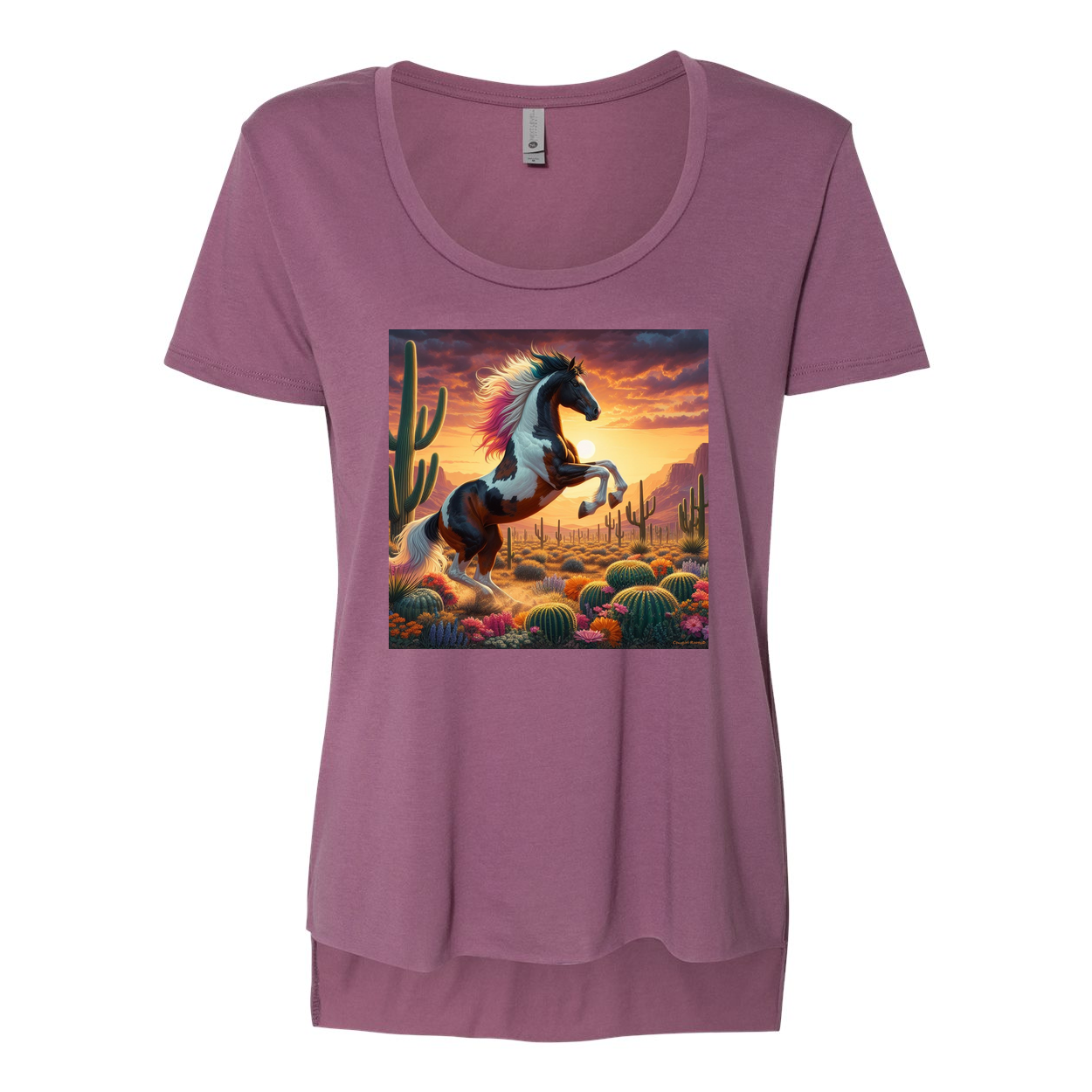 Painted Desert Horse Scoop Neck T Shirts