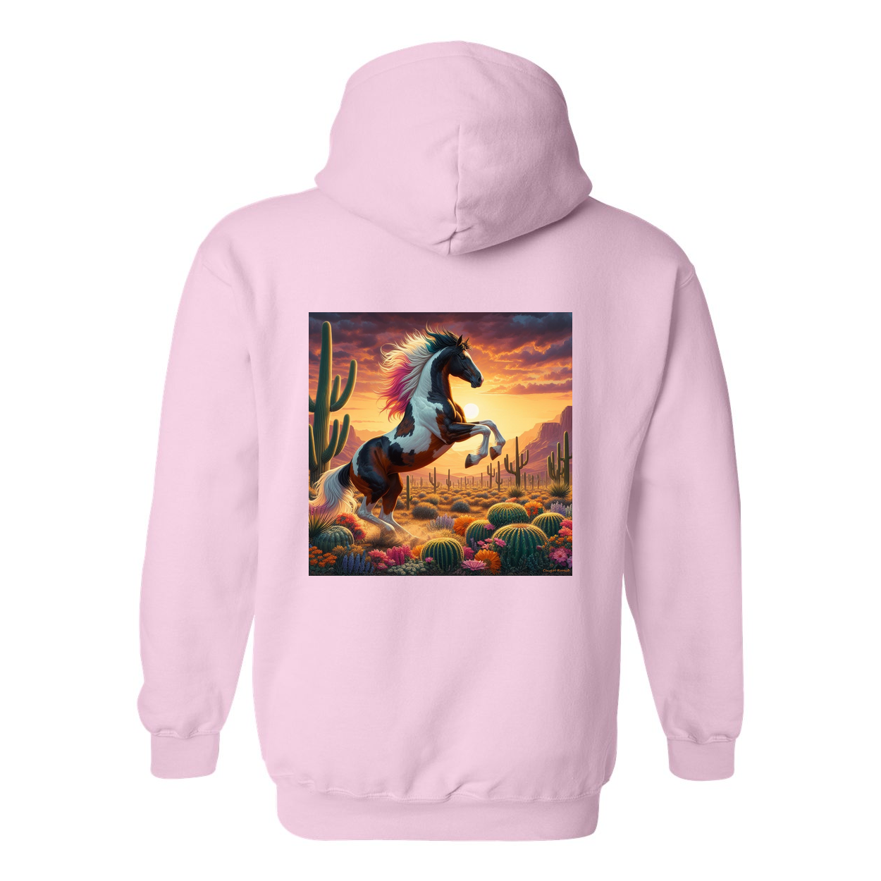 Painted Desert Horse Design on Back Front Pocket Hoodies