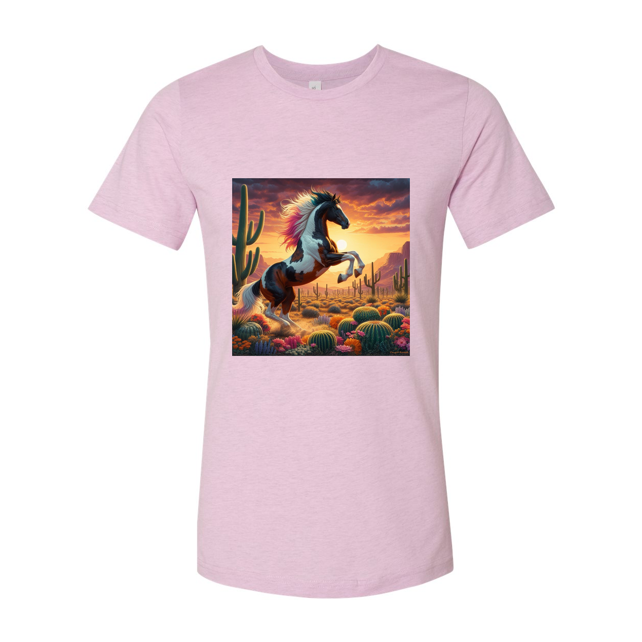 Painted Desert Horse T Shirts