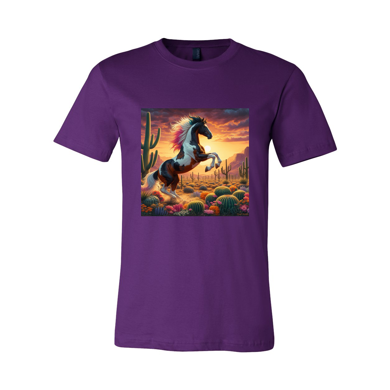 Painted Desert Horse T Shirts