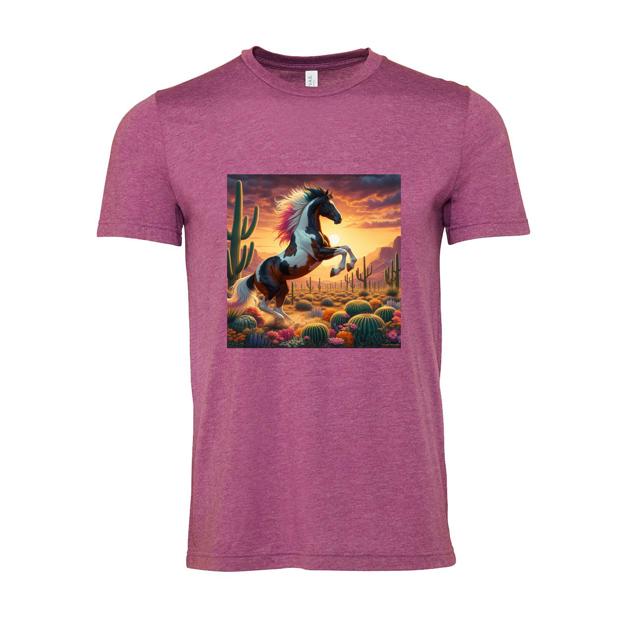 Painted Desert Horse T Shirts