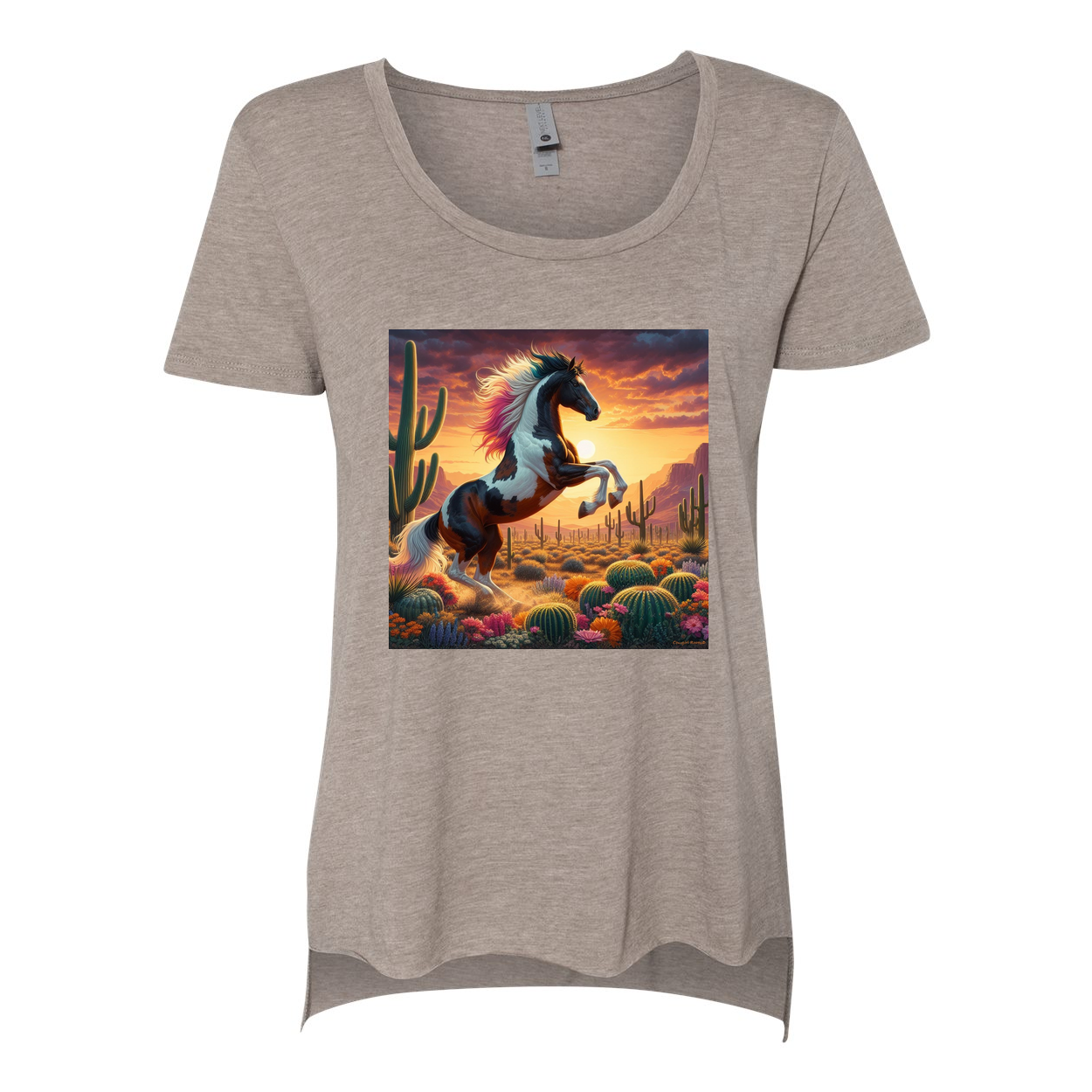 Painted Desert Horse Scoop Neck T Shirts