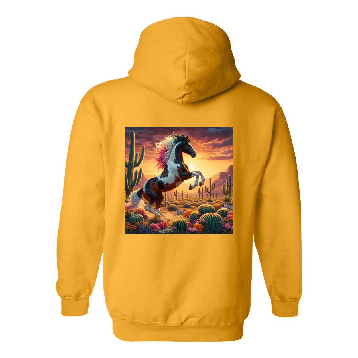 Painted Desert Horse Design on Back Front Pocket Hoodies