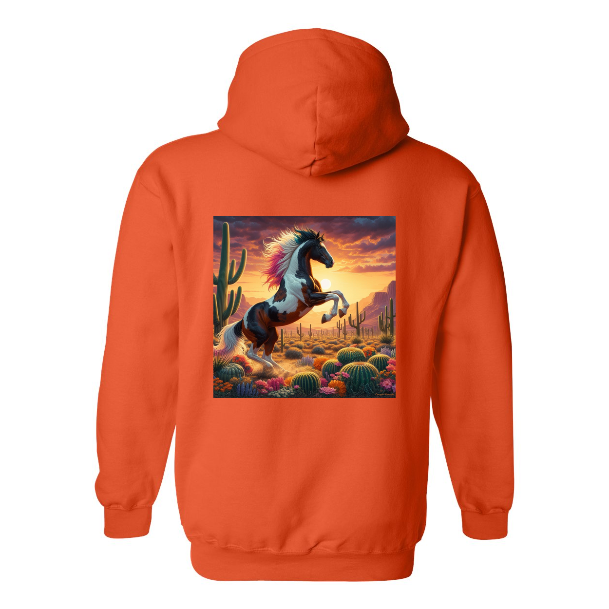 Painted Desert Horse Design on Back Front Pocket Hoodies