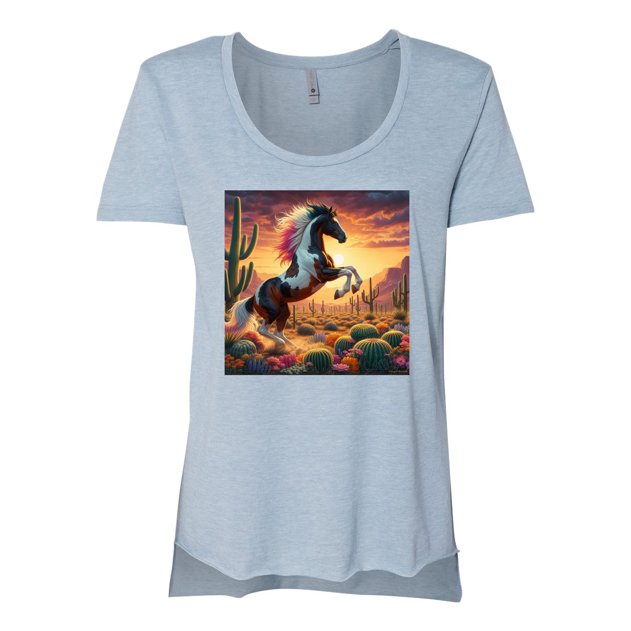 Painted Desert Horse Scoop Neck T Shirts