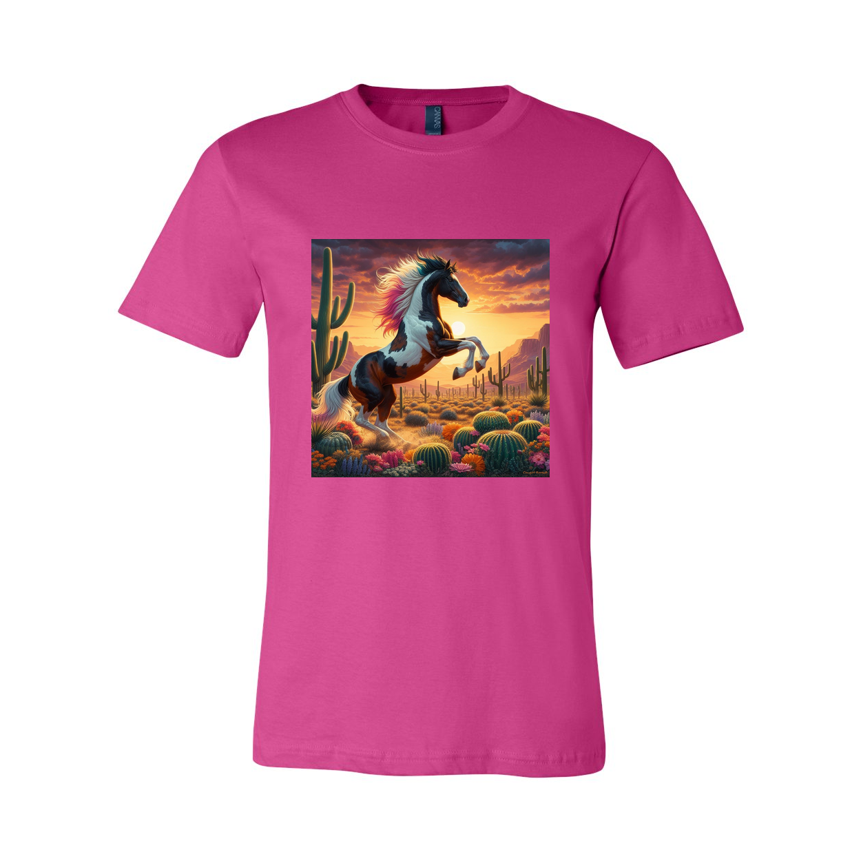 Painted Desert Horse T Shirts