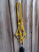 Load image into Gallery viewer, Sunflower Beaded Rope Horse and Pony Halters with Lead Yellow
