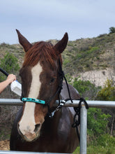 Load image into Gallery viewer, Marie Head of the Herd Hand Beaded Rope Halter with Lead Rope For Horse and Pony
